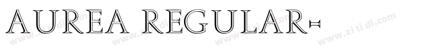 Aurea Regular字体转换